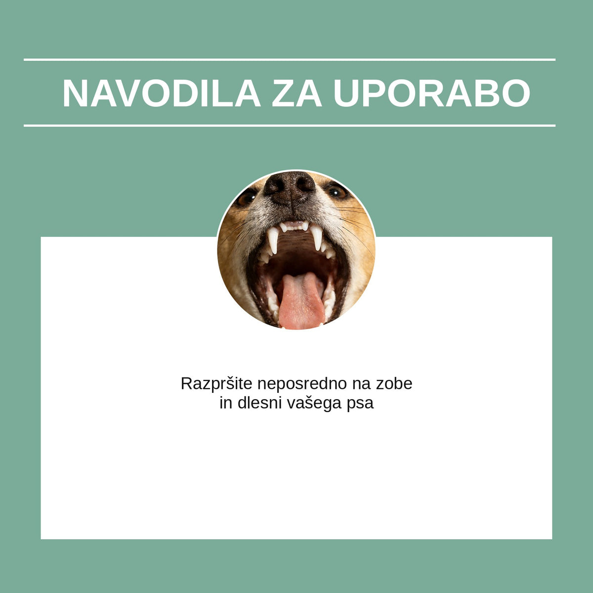 Navodila za uporabo